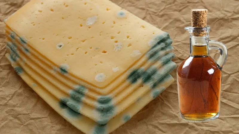 Evinde olan deniyor: Kaşar peyniri küflenme derdinden kurtarıyor!