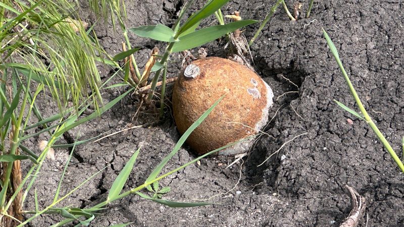 Edirne'de ayçiçeği tarlasında top mermisi bulundu