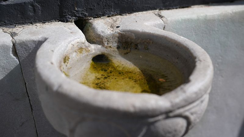 Osmanlı'nın zarif mimari ustalığı: Yüzyıllardır süslenen kuş sebilleri ve çanakları