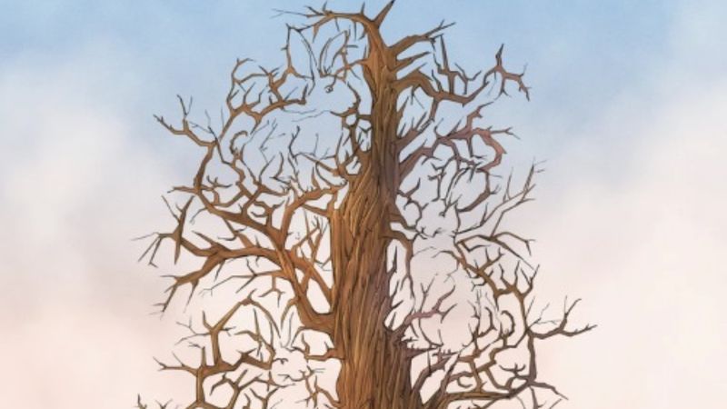 Optik illüzyon: Ağaçtaki tavşanlara bakın! Sadece dahiler görebilecek...