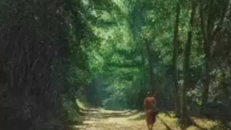 Resimde ilk gördüğünüz şey; Bağımsız mısınız, etkilenen misiniz söylüyor...