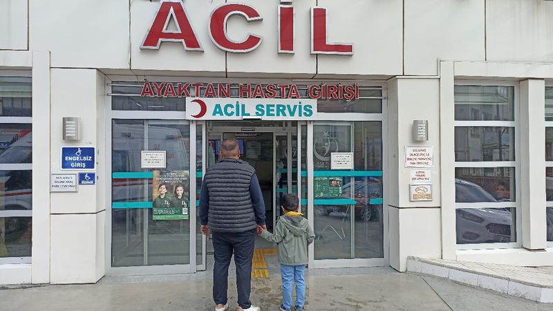 Kastamonu'da 5 yaşındaki çocuğa başıboş köpekler saldırdı