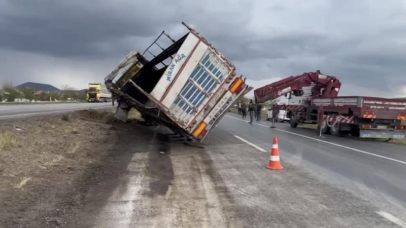 Konya'da devrilen tırdaki 29 angus kayboldu