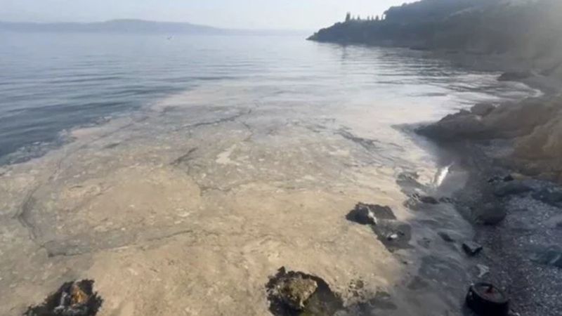 Müsilaj yeniden Gemlik Körfezi'nde