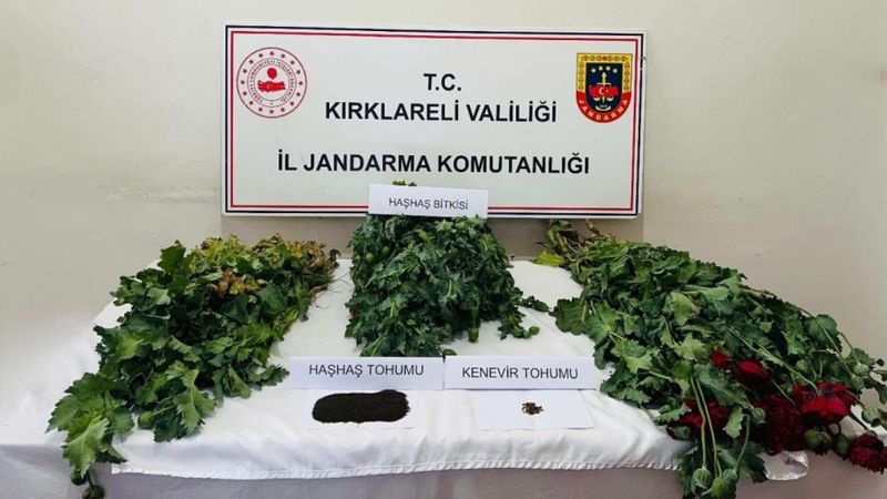 Kırklareli'nde uyuşturucu operasyonu: 8 gözaltı