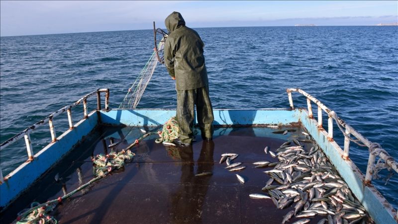 Resmi Gazete’de yayımlandı: O balığı götürene para verilecek!