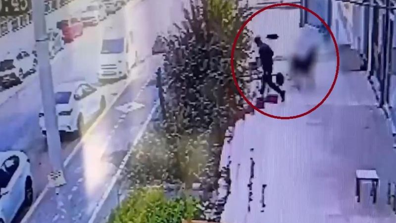 Diyarbakır merkezli suç örgütüne yönelik operasyonda 19 şüpheli tutuklandı