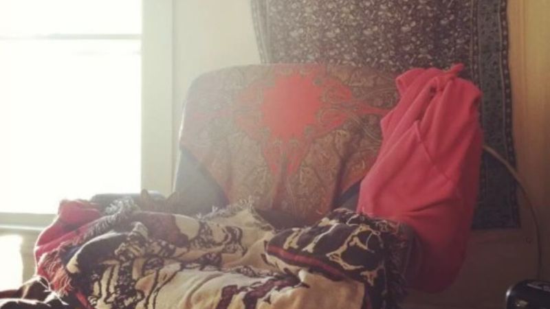 Optik illüzyon: Kedi nerede? Sadece dahiler 7 saniyede bulabiliyor