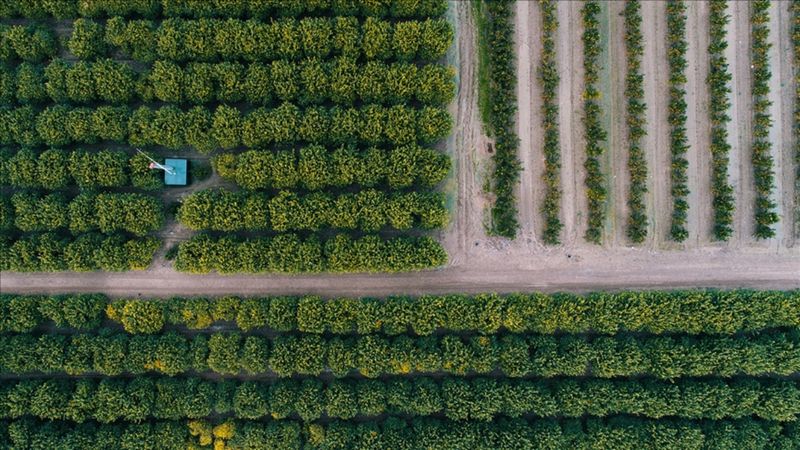 Gıda güvenliği için kırsal dönüşüm şart
