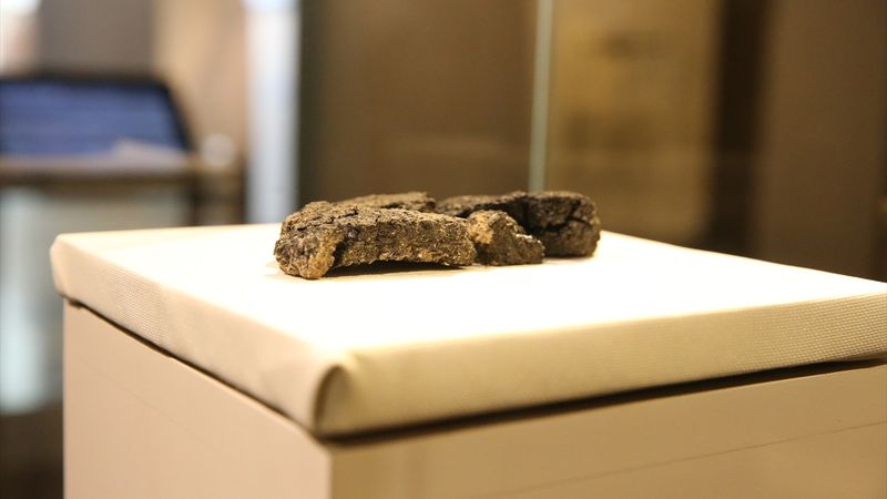 Eskişehir'de bulunan 5 bin yıllık ekmek tanıtıldı