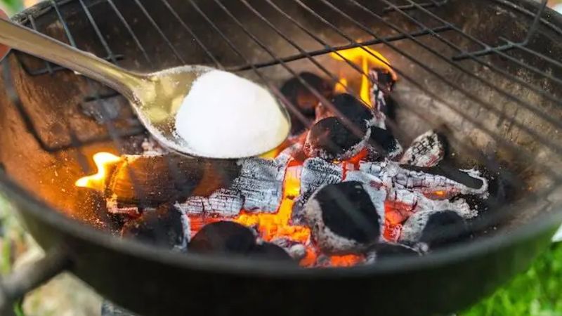 Mangal ustalarının sırrı: Odunun üzerine serpin, ne koku kalıyor ne de duman…