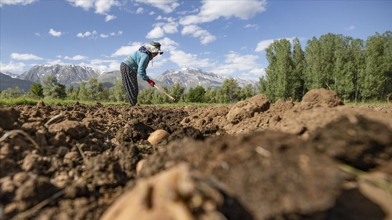 Çiftçilere 3,3 milyar lira destek bugün hesaplara aktarılıyor