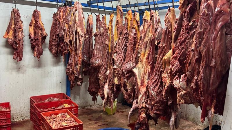 Adana'da 3 ton bozulmuş at eti ele geçirildi