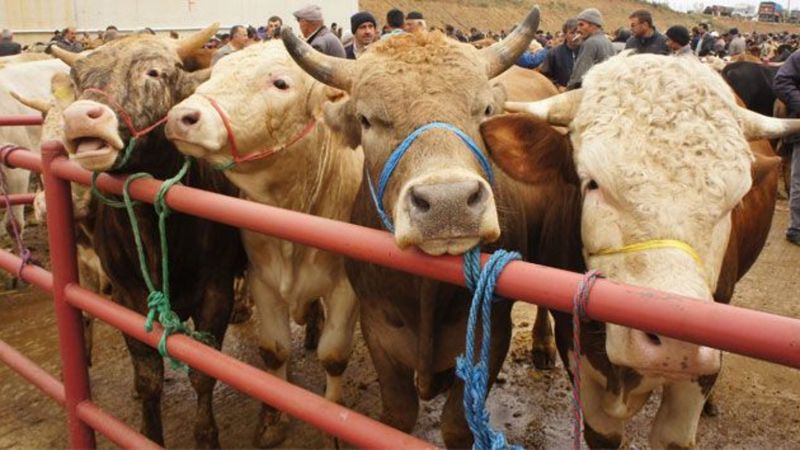 Kurban bayramı ne zaman? Kurban bayramı tarihi 2025...