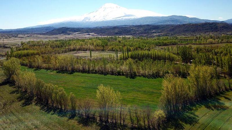 2B arazi nedir, ev yaptırılır mı? e-Devlet 2B arazi sorgulama