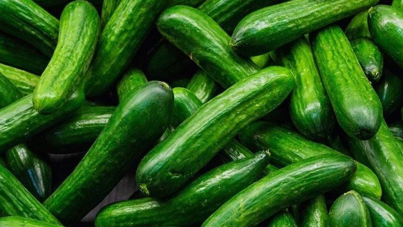 “Tüketmeyi bırakın” salatalıklar için bakteri alarmı verildi! Raflardan kalkıyor