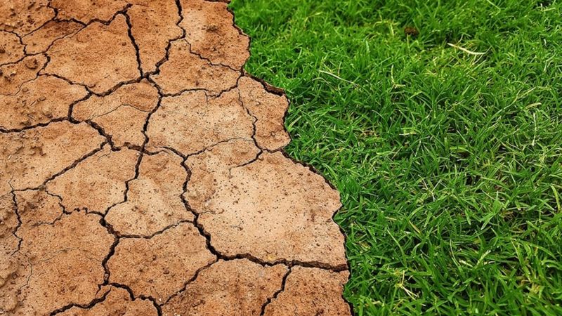 Küresel iklim tahminleri, 5 yılda sıcaklıkların rekor seviyelere ulaşacağını öngörüyor