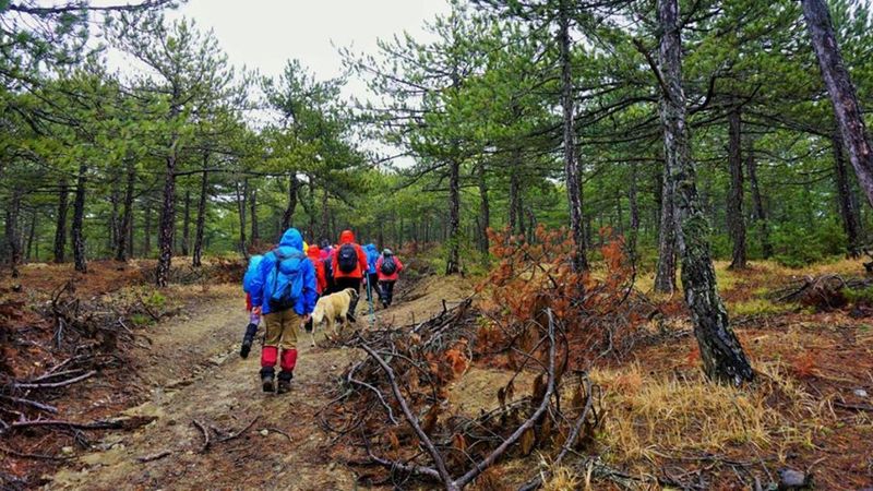 Eskişehir ve Afyonkarahisar'da ormanlara girişler, 15 Haziran'dan itibaren yasak