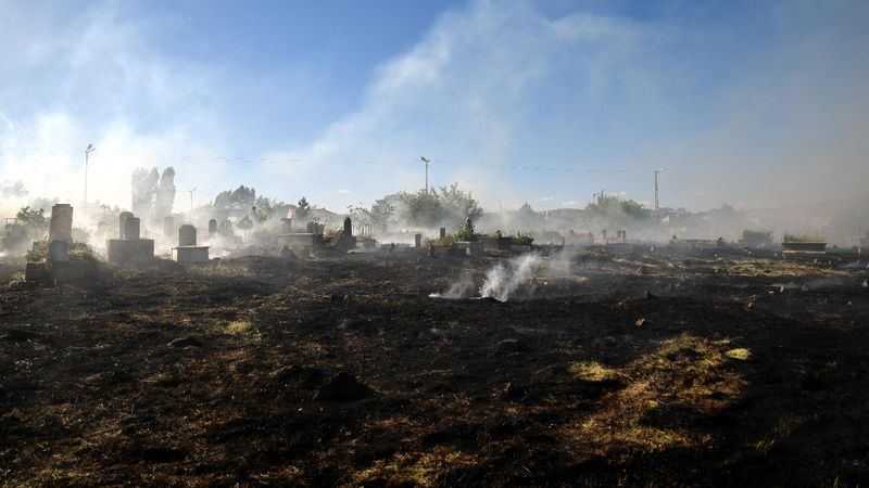 Van'da mezarlıkta yangın