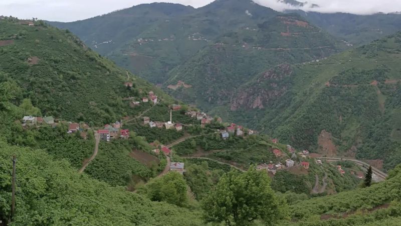 Danıştay'ın kararı Resmi Gazete'de yayımlandı: 35 yıl sonra Giresun’a bağlandılar