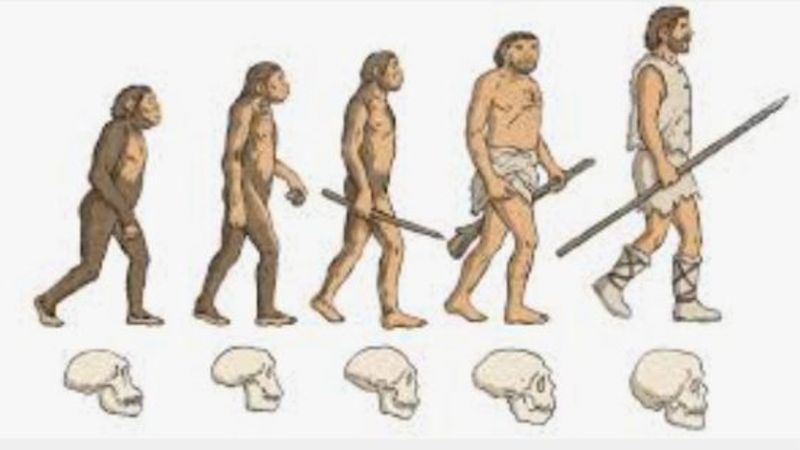 Ümit Yenişehirli yazdı: Darwin’in ‘maymuncu ataları’