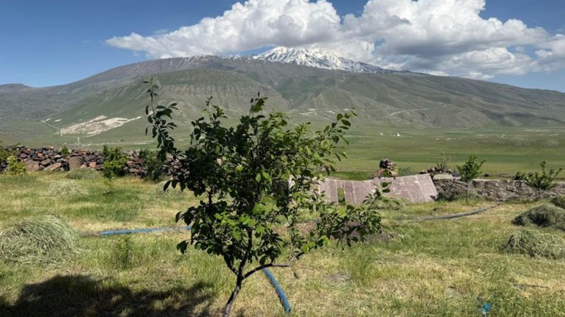 Iğdır'da çorak araziyi yeşil bir cennete dönüştürdü