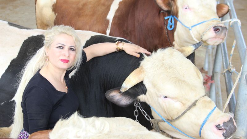 Çorum'da hayvan pazarında kadın gücü