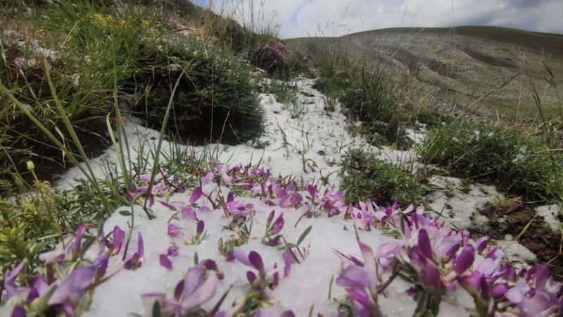 Erek Dağı'nın etekleri, Haziran'da kara büründü