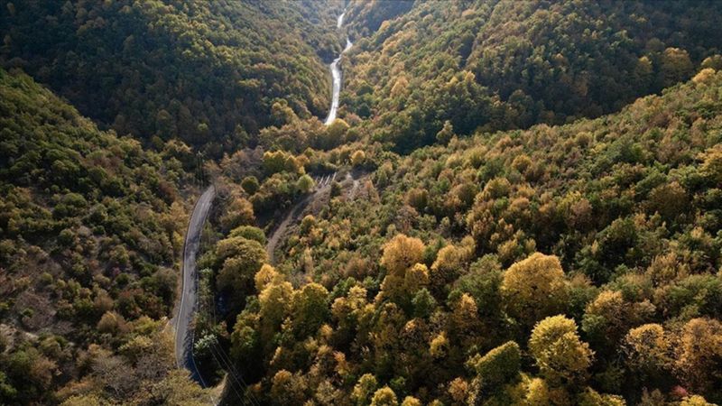 Tekirdağ'da ormanlara giriş yasağı
