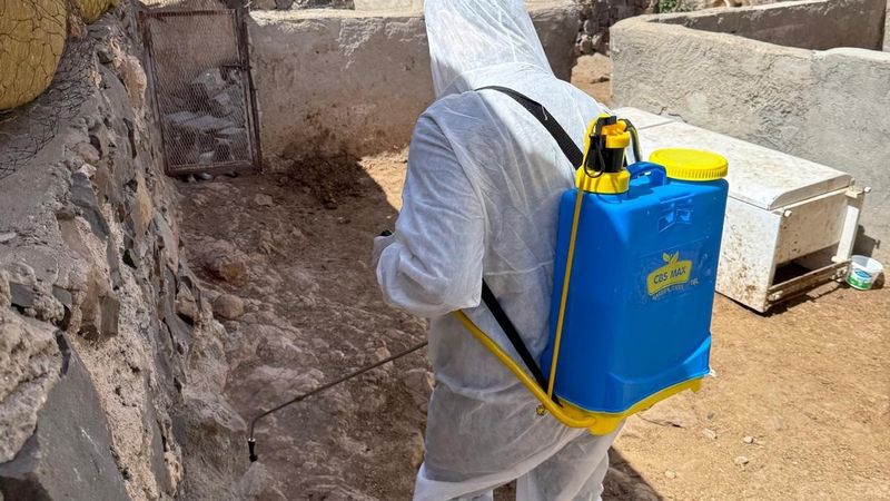 Şırnak'ta şap hastalığı tespit edildi: Bir köy karantinaya alındı