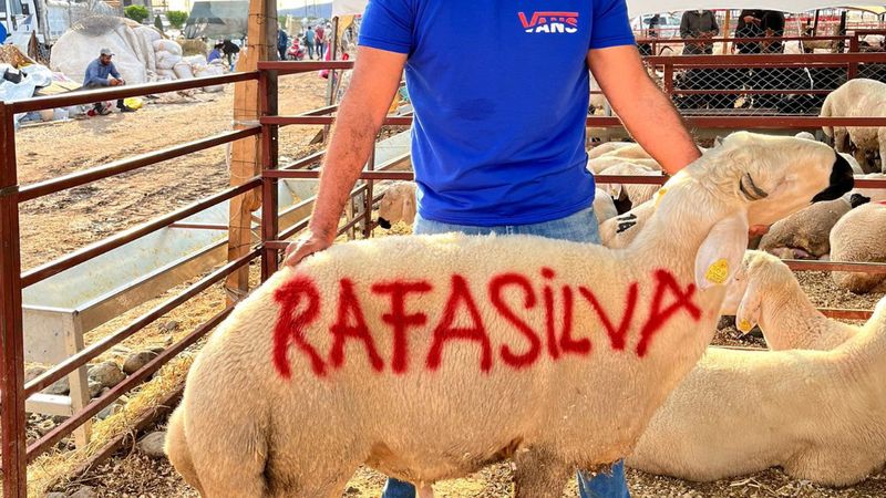 Beşiktaşlıların Rafa Silva sevgisi: Kurbanlıklara adını yazdılar...