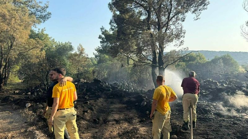 İzmir'de mangal yaparken ormanı yakan şahıs tutuklandı