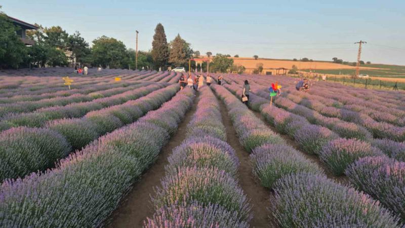İstanbul'un dibindeki kartpostal: Gelin-damatlar buraya koşuyor...