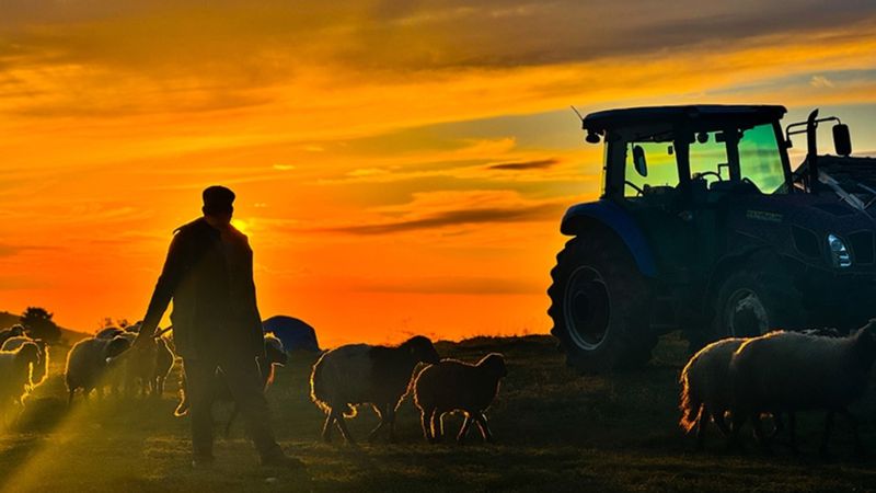 Hayvancılıkta yabancı çoban dönemi: Çalışma izni başvuruları başladı