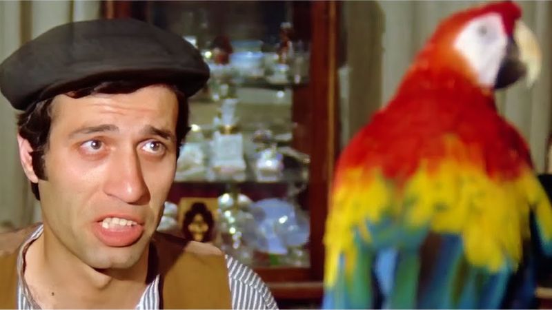 Sahte Kabadayı filmindeki Papağan Ziya'yı bakın kim seslendirmiş