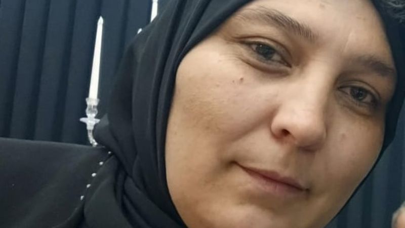 Kayseri'de kene can aldı