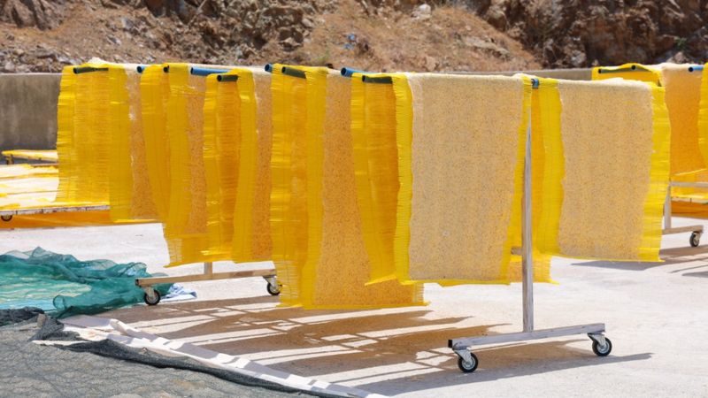 Ne patates, ne mısır; Bu cips gibisi yok! Sadece Türkiye'de...