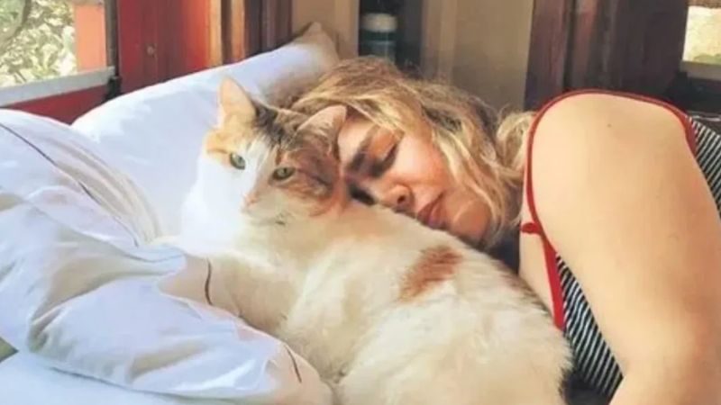 Sezen Aksu'nun acı günü! Kedisi Sütlü öldü