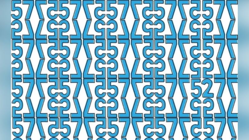 Görsel zeka testi: Kamufle edilmiş 52 sayısını sadece zekiler görebiliyor