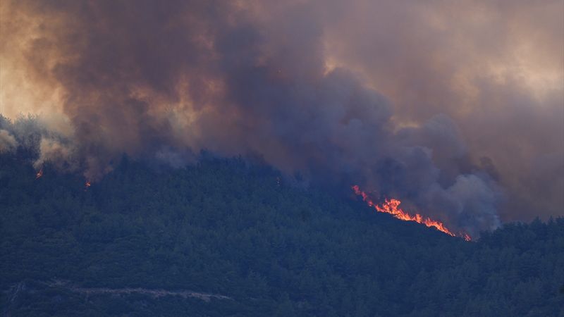 İzmir'de 4 ilçede orman yangınlarıyla mücadele