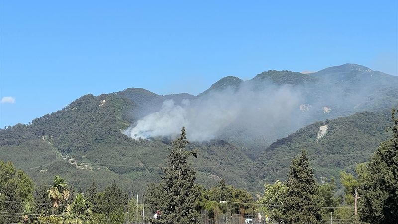 Hatay Dörtyol'da orman yangını çıktı! Müdahale sürüyor