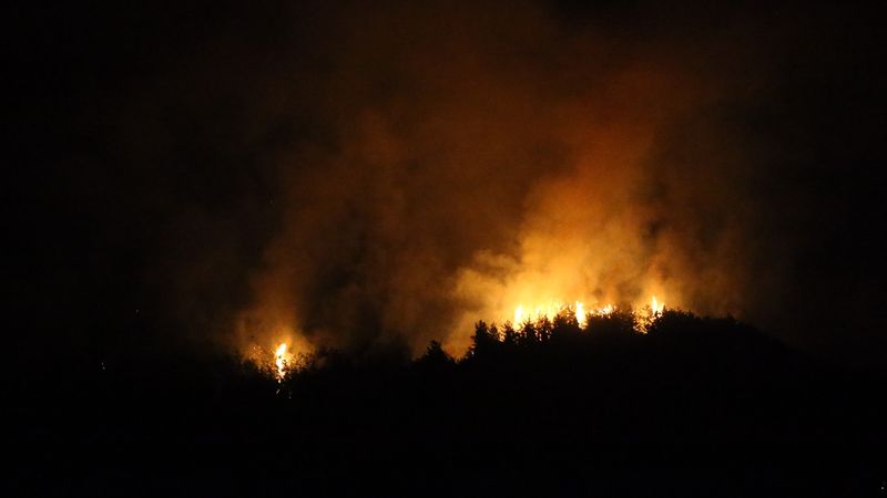 Hatay'da köylüler yangın bölgesine traktörlerle su taşıdı