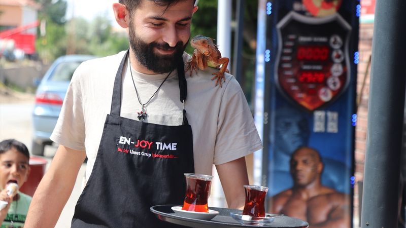 Yozgatlıların 'maça giden iguana'sı Ökkeş, omuzlardan inmiyor