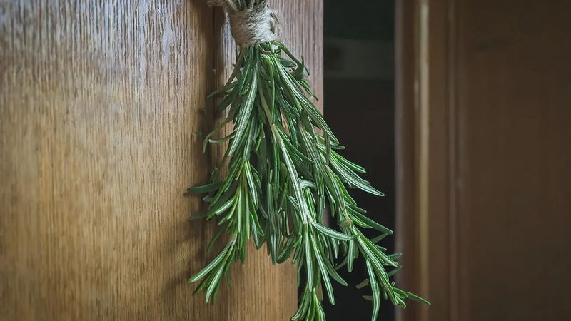 Kapıya iki dal asmak yetiyor, şansı ve bereketi eve çekiyor…