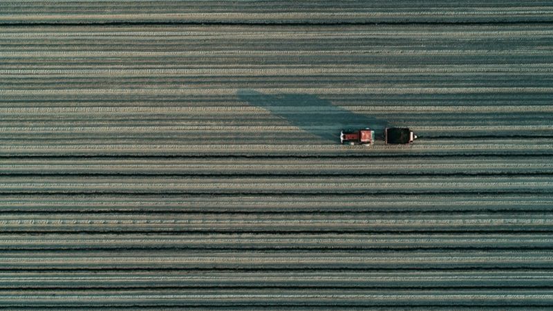 Tarımsal amaçlı örgütlerin derecelendirilmesine ilişkin esaslar düzenlendi