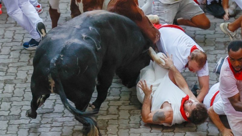 İspanya'da boğa koşularında 8 kişi yaralandı