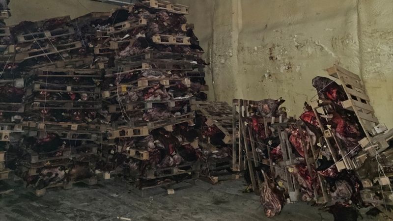 Bursa'da sağlıksız et deposu ortaya çıktı