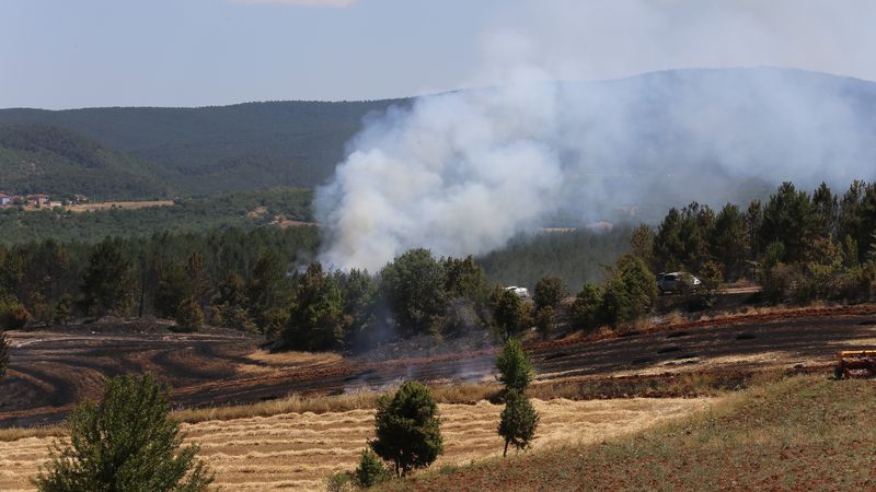 Kastamonu'da orman yangını