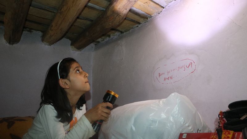 Hakkari'de tek katlı evde yılan paniği