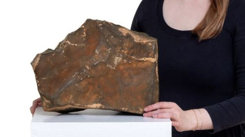 Taş deyip geçmeyin! Bu taş tamı tamına 160 milyon ediyor